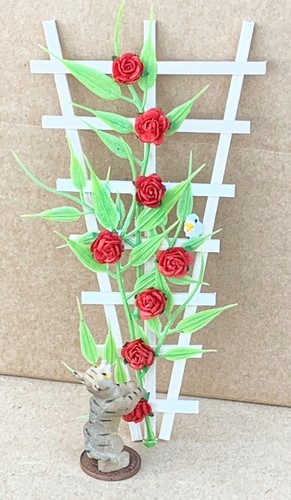 Dolls house red roses cat - &, on